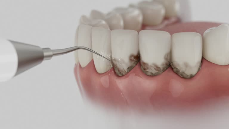 Reliable Dental contractor in Sanford, ME by Dentist Open Now